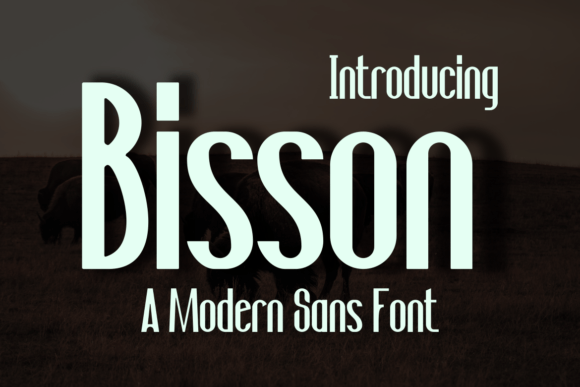 Bisson Sans Serif Font: A Crafters Guide to Bold, Modern Display Typography