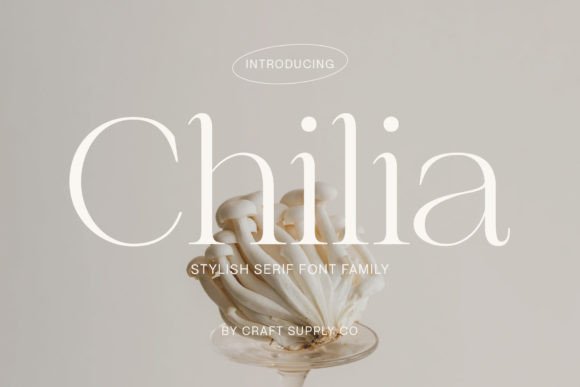 Why Chilia Serif Font Makes Small Business Branding Look Instantly Polished